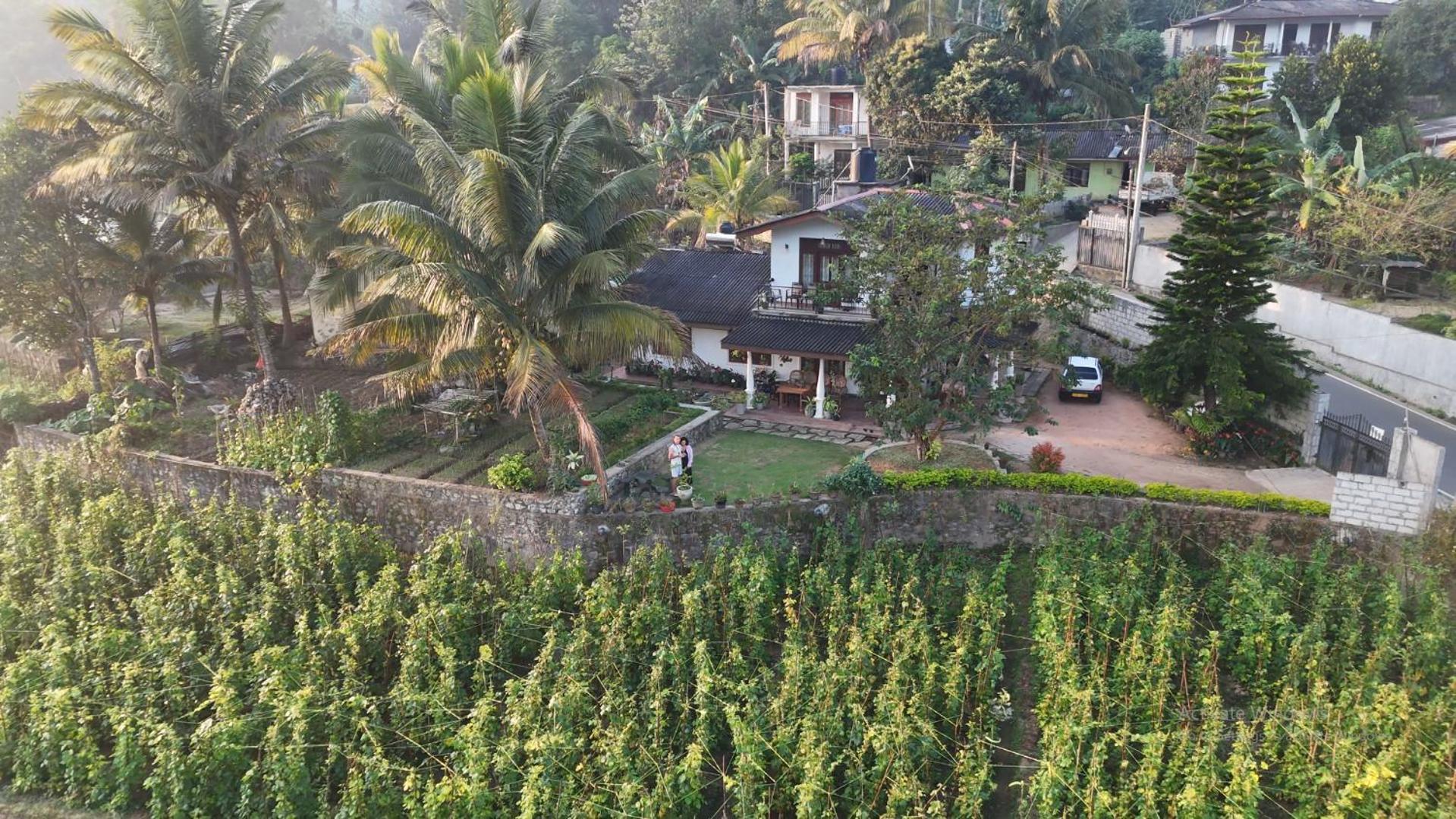 Ella Nature Valley Homestay Kültér fotó